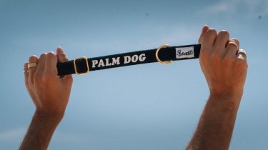 Palm Dog Dogami Dogs Movie Stars Dress French Brand French Bandit