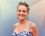 Sharon Stone, a 65 anni, è 'pronta per l'estate', lo scatto da capogiro in bikini (FOTO)