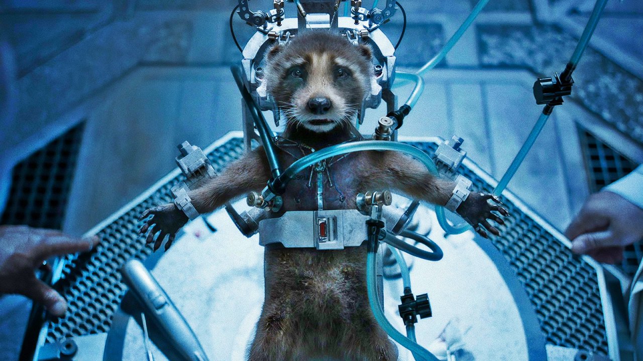 Guardiani della Galassia vol. 3: il nuovo manifesto contro la vivisezione?