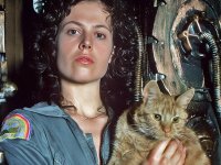 Alien: come Ellen Ripley ha cambiato per sempre la figura della final girl