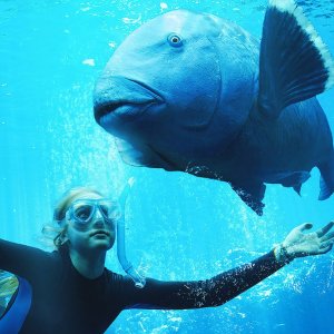 Blueback: Ilsa Frogg in una scena subacquea