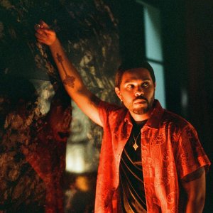 The Idol: un'immagine della serie