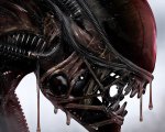Alien e Aliens - Scontro finale tornano al cinema: Ridley Scott e James Cameron, modi diversi di dire alieno