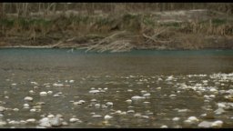 La Ricerca - Trailer