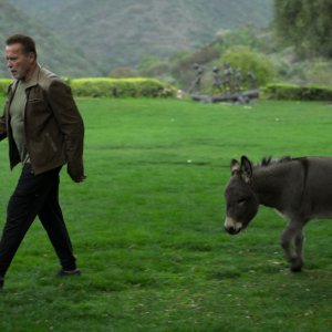 Arnold: una scena