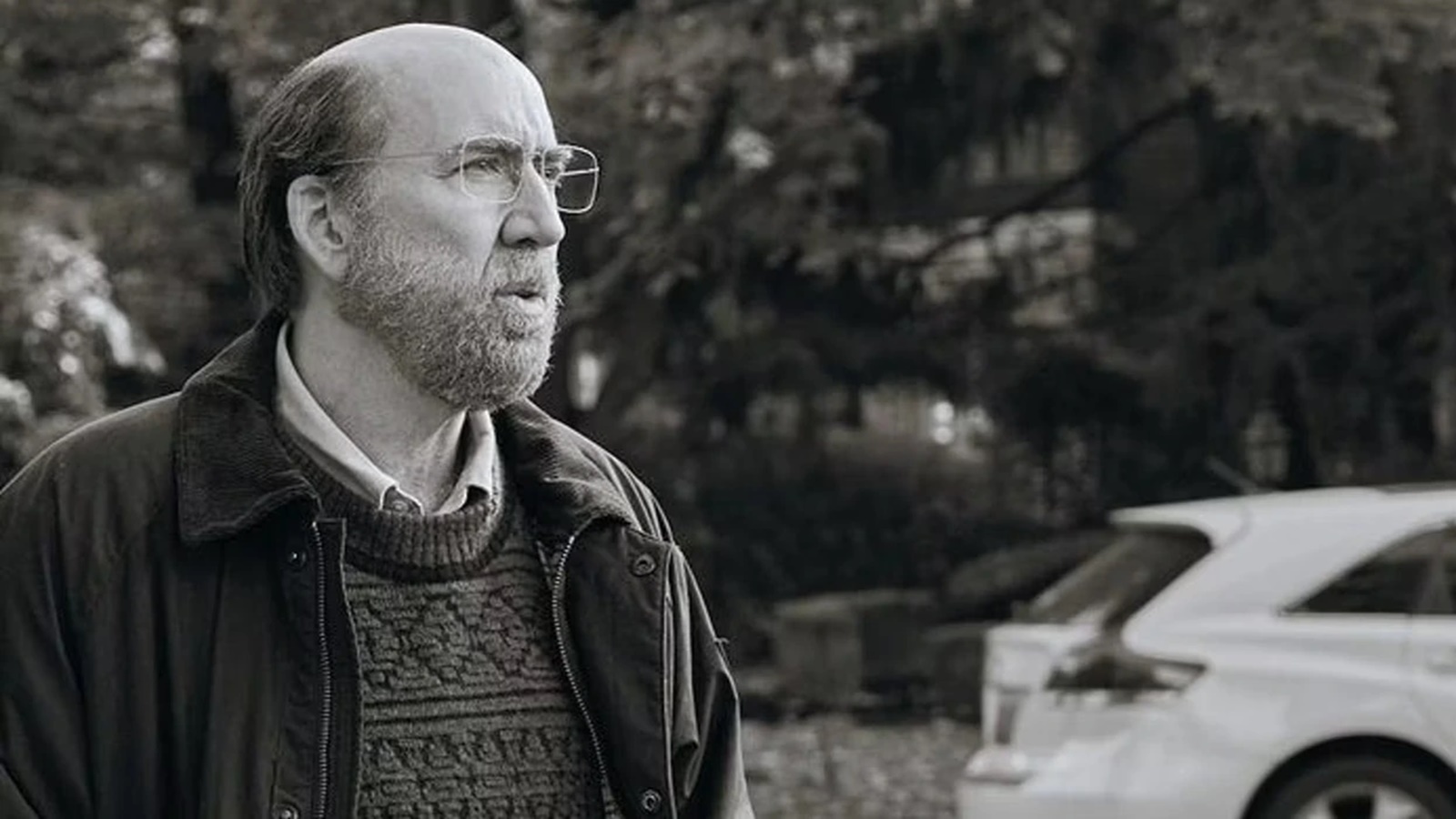 Dream Scenario: il nuovo film di Nicolas Cage riceve un'ottima accoglienza nelle proiezioni test