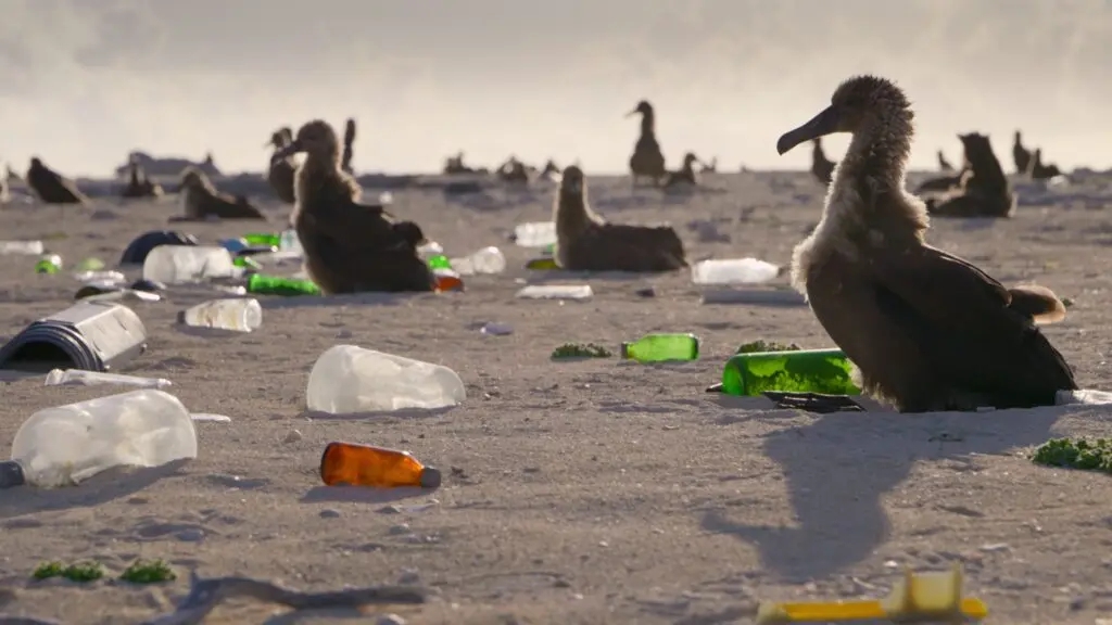 Il Nostro Pianeta 2, su Netflix in streaming da oggi