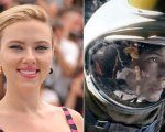 Gravity, Scarlett Johansson racconta il provino: 'Dovevo far finta di fluttuare con un casco'