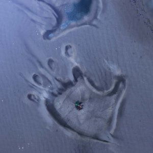 Skull Island: un'immagine della serie