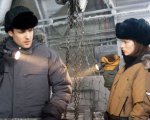 Whiteout - Incubo bianco, stasera 2 luglio su canale 20 Mediaset: cast e trama del thriller