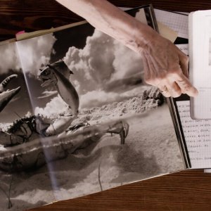 Gian Paolo Barbieri. L'Uomo e la Bellezza: un'immagine