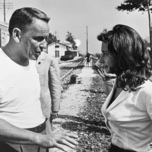 Raffa: una foto d'archivio