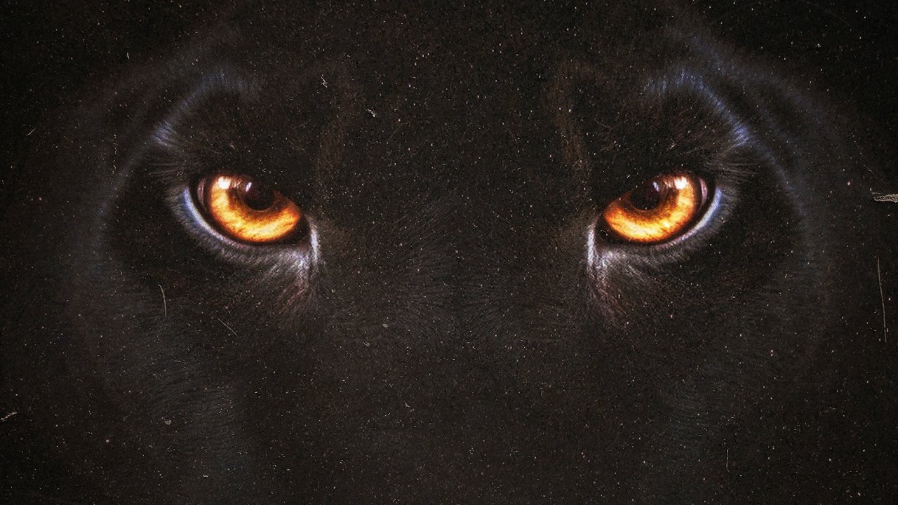 Scorsese, Polanski, Ferrari: ecco il ricco listino 01 Distribution per il 2023