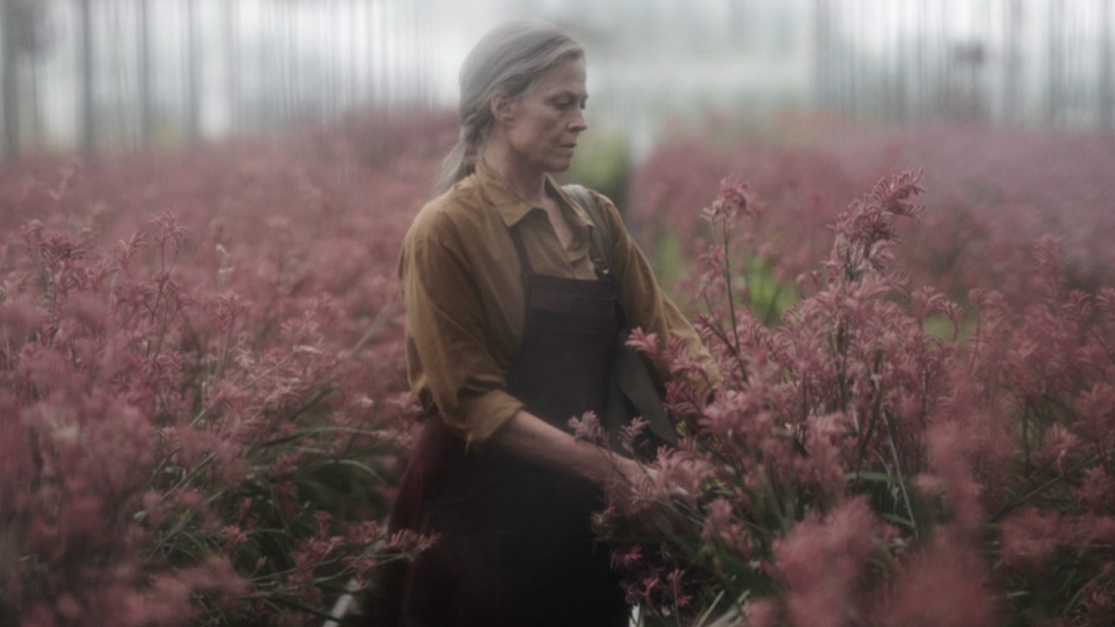 The Lost Flowers Of Alice Hart, Sigourney Weaver nel trailer della nuova serie di Prime Video