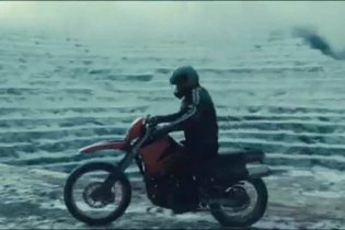 Animali Selvatici - Trailer Italiano