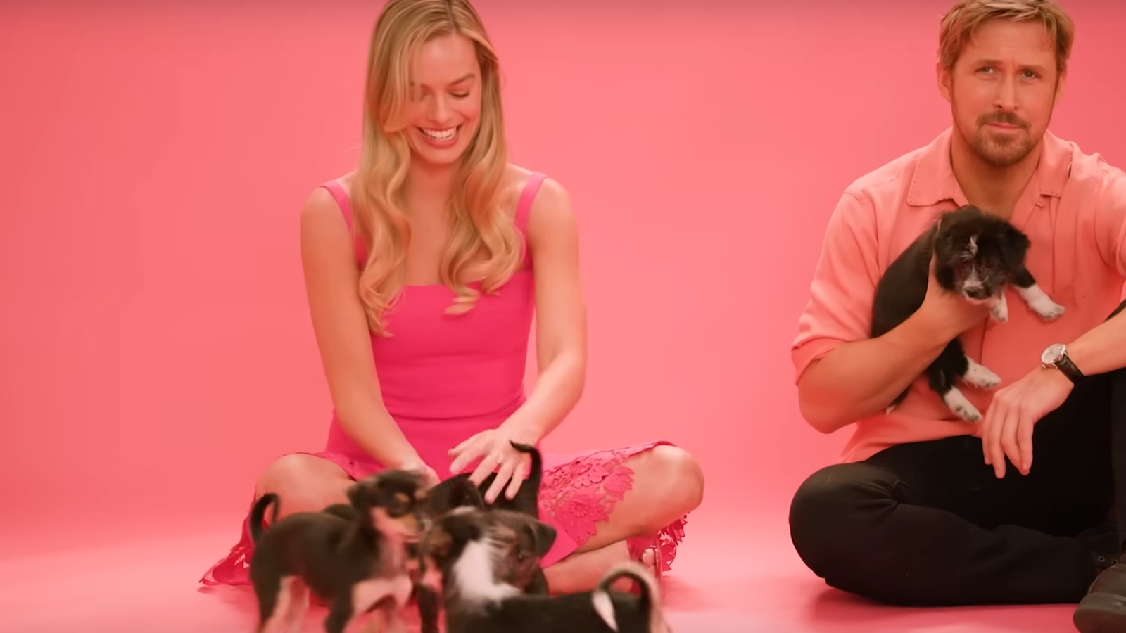 Barbie: l'intervista di Margot Robbie e Ryan Gosling con i cuccioli scivola in un esilarante caos (VIDEO)