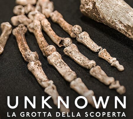 Unknown La grotta della scoperta (Film 2023) trama, cast, foto, news