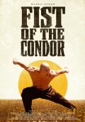 Locandina di Il pugno del Condor