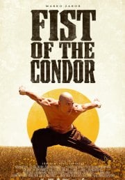 Locandina di Il pugno del Condor