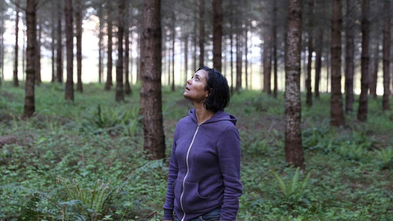 Alone stasera su Rai 4: trama curiosità e cast del thriller del ciclo Summer Thrills