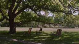 Family Portrait - Trailer