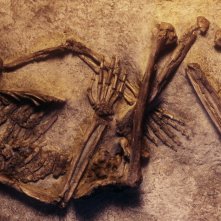 Unknown: La grotta della scoperta - una foto del documentario