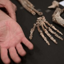 Unknown: La grotta della scoperta - un frame del film