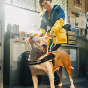 Blanca 2: Maria Chiara Giannetta con il cane Linneo in una foto della nuova stagione