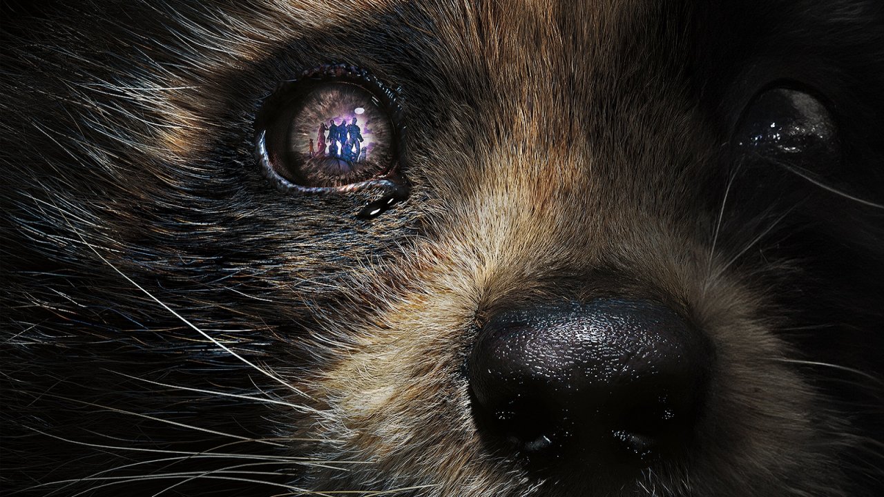 Guardiani della Galassia Vol. 3: 5 film che fanno venire voglia di abbracciare i propri animali