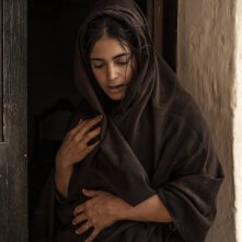 I Leoni di Sicilia: una foto di Ester Pantano