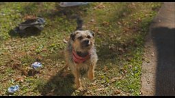 Doggy Style - Trailer Italiano 2