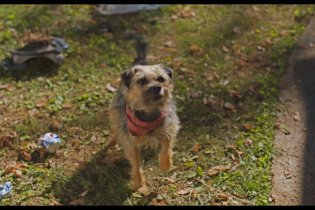 Doggy Style - Trailer Italiano 2