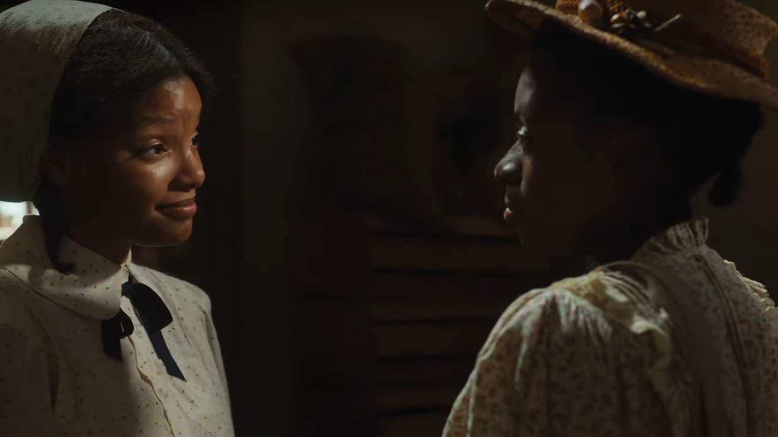 Il colore viola: il trailer italiano del film tratto dal musical ispirato al romanzo di Alice Walker