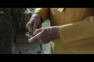 ll sapore della felicità - Clip