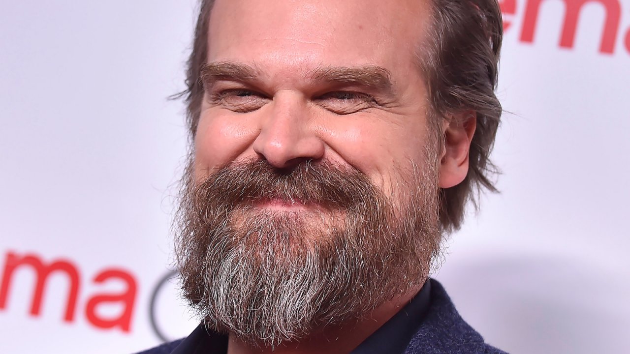 Stranger Things, David Harbour: 'Non voglio che i fan mi chiamino Hopper per il resto della vita'