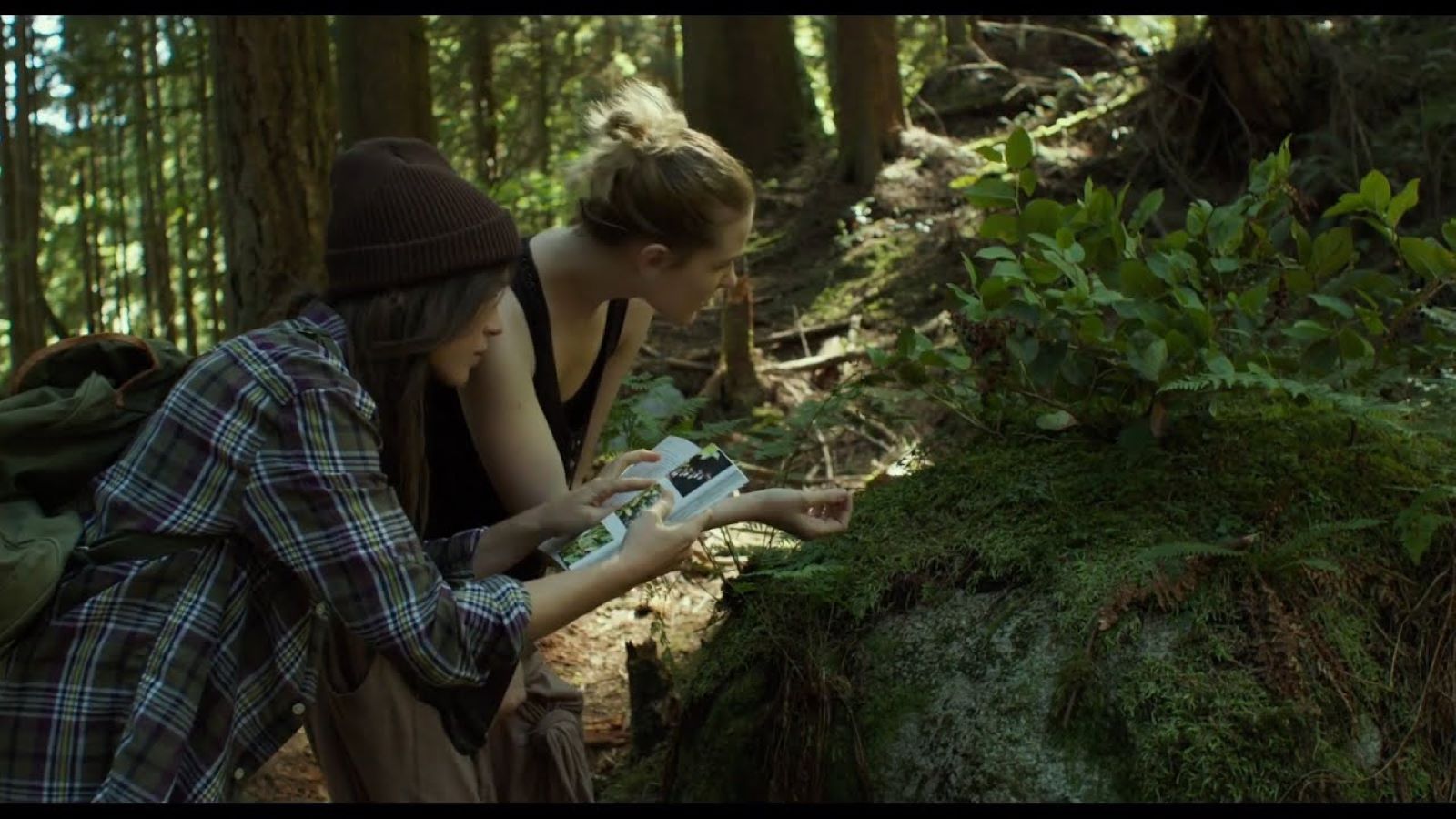 Into the Forest stasera su Rai 4: trama e cast del survival thriller con Evan Rachel Wood
