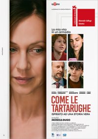 Locandina di Come le Tartarughe