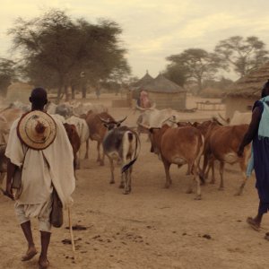 Io sono tuo padre: una foto del film