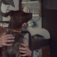 Mindsurf: un frame del documentario