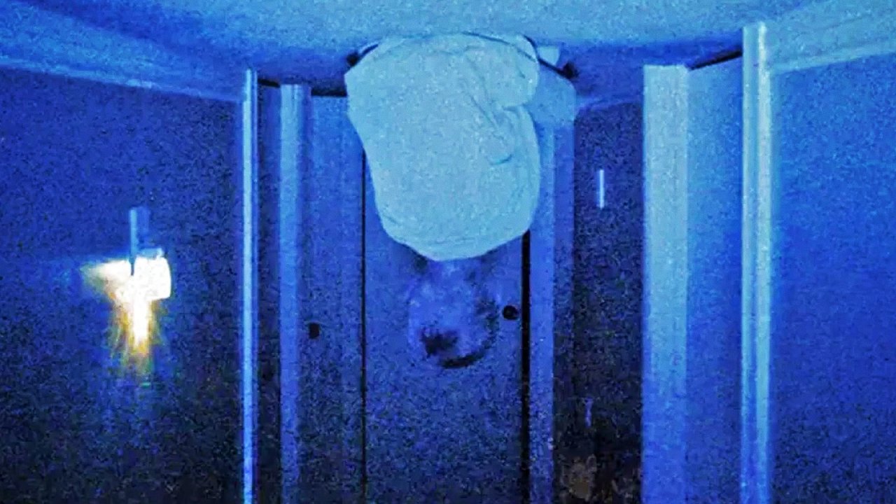 Skinamarink, la recensione: se l'horror (arthouse) viene portato all'estremo