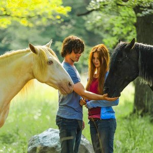 Windstorm 2 - Contro ogni regola: un'immagine del film