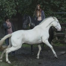 Windstorm 2 - Contro ogni regola: una foto del film