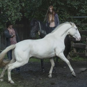 Windstorm 2 - Contro ogni regola: una foto del film