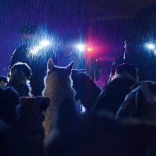 Dogman: una scena del film