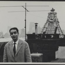 Italo Calvino - lo scrittore sugli alberi: una sequenza