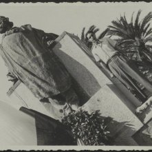 Italo Calvino - lo scrittore sugli alberi: un'immagine