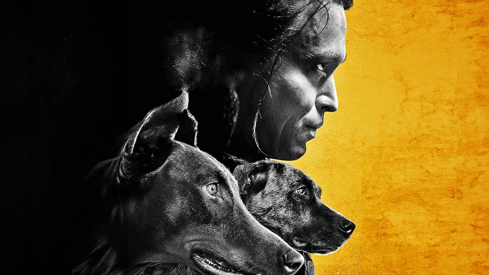 Dogman, la recensione: cani, amore e pallottole nel grande film di Luc Besson