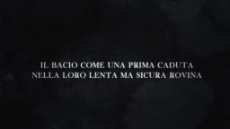 The Zola Experience - Trailer