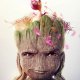 I Am Groot 2, la recensione: 5 nuovi corti al sapore dell’adolescenza per la serie Disney+