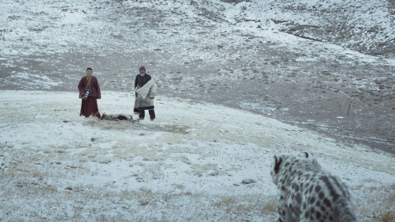 Il leopardo delle nevi, la recensione: uomo contro natura, materia contro spirito in Tibet